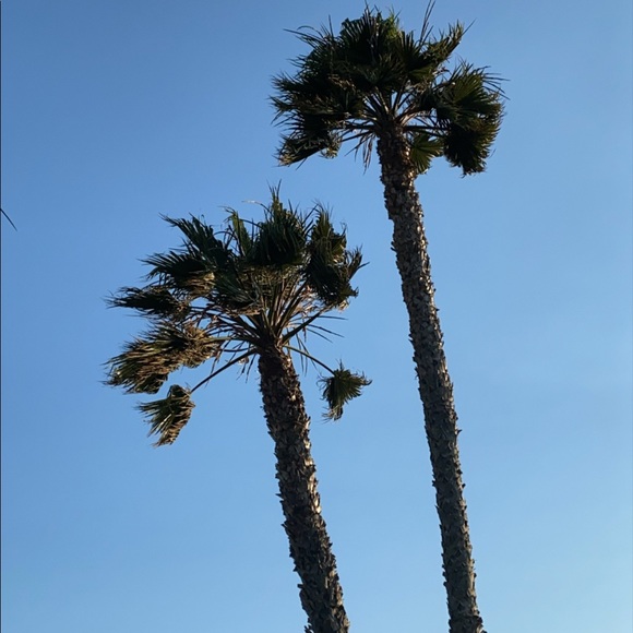 Meet your Posher, Designer - Picture 1 of 1